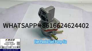 FIAT 7537698 7564923 7581031 POMPE D'ALIMENTATION EN CARBURANT DIESEL 7797698 7581032 BCD2185/5 CONVIENT POUR PANDA